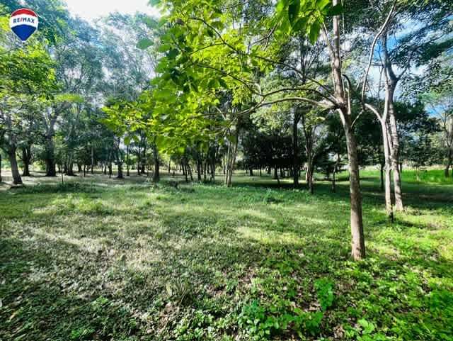 Finca en Santa Teresa, Carazo. - Imagen 10
