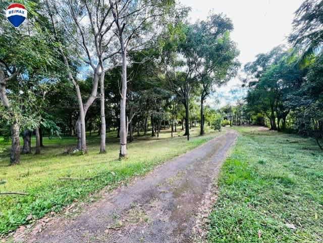 Finca en Santa Teresa, Carazo. - Imagen 6
