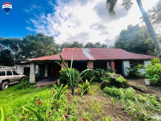 Finca en Santa Teresa, Carazo. - Imagen 4