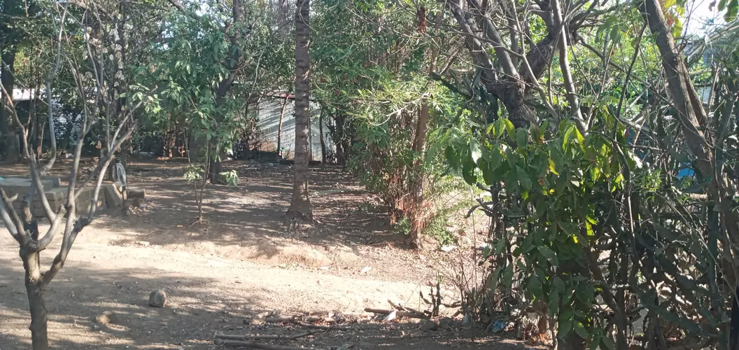Se vende terreno 900 vrs2 en Managua, Villa Roma 2. - Imagen 3