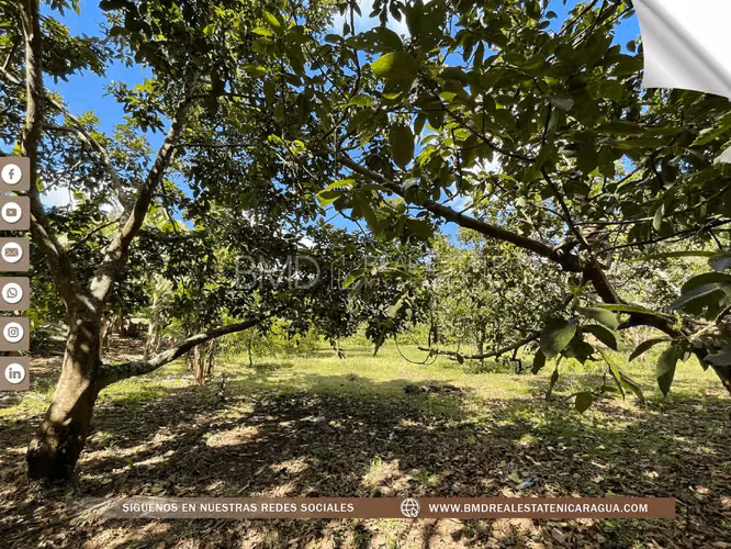 Venta en Masatepe esta increíble propiedad de 2 manzanas 0511