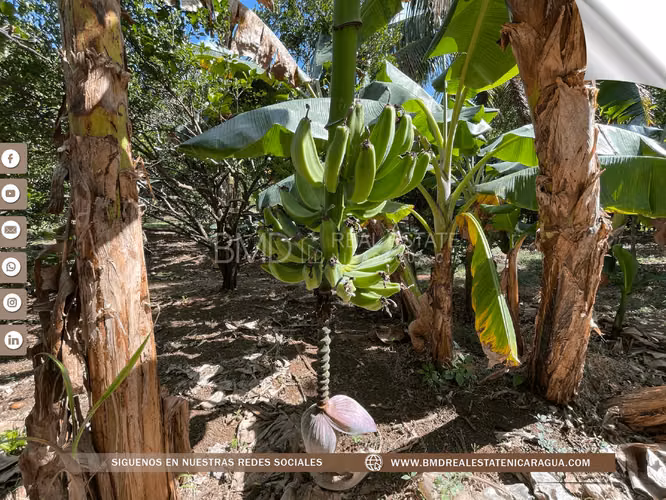 Venta en Masatepe esta increíble propiedad de 2 manzanas 0511