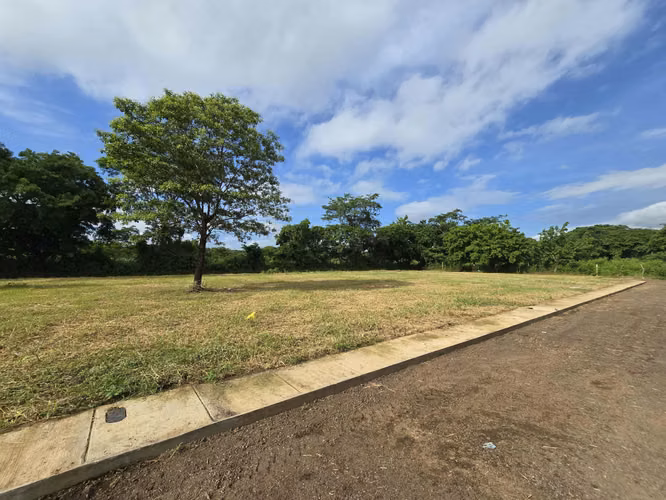 Venta de terreno km 14 carretera a Masaya Bosque de Capistrano