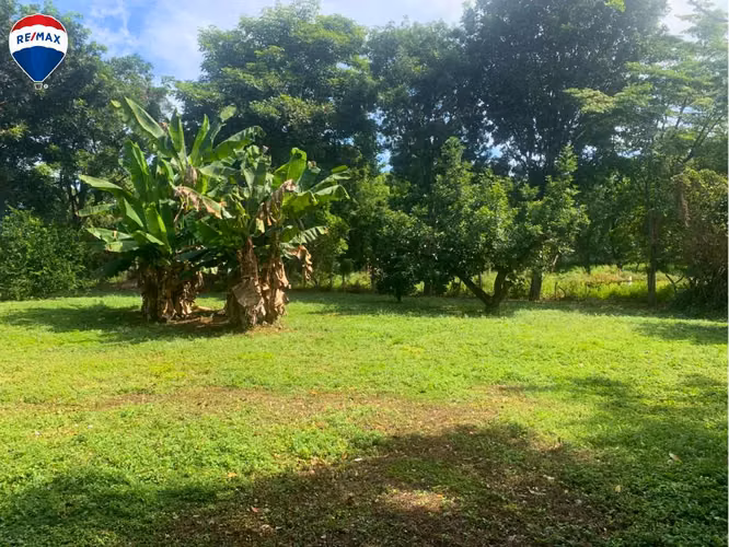 Lote en Carretera a Veracruz