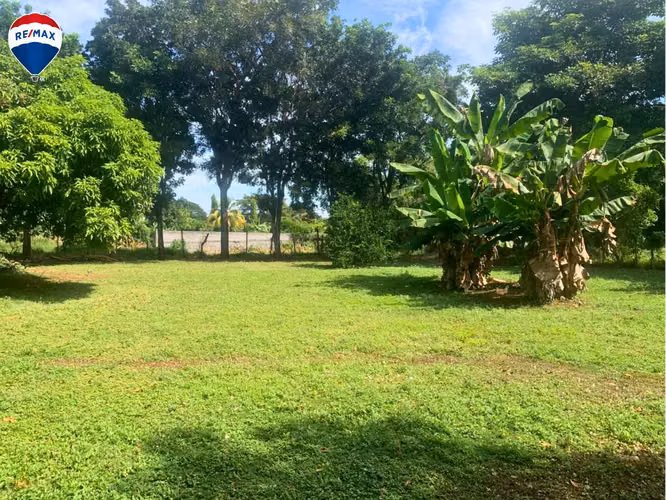 Lote en Carretera a Veracruz - Imagen 2
