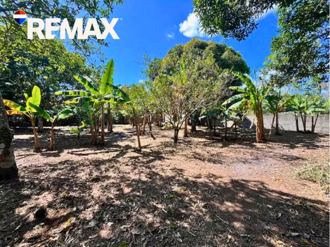 Lote en Carretera San Marcos – Masatepe