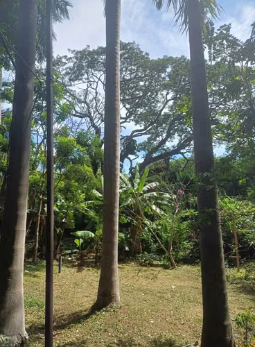 En venta precioso terreno en carretera sur Managua-Nicaragua - Imagen 3