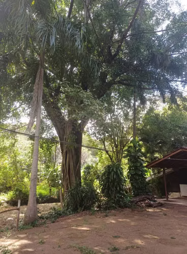 En venta precioso terreno en carretera sur Managua-Nicaragua - Imagen 4