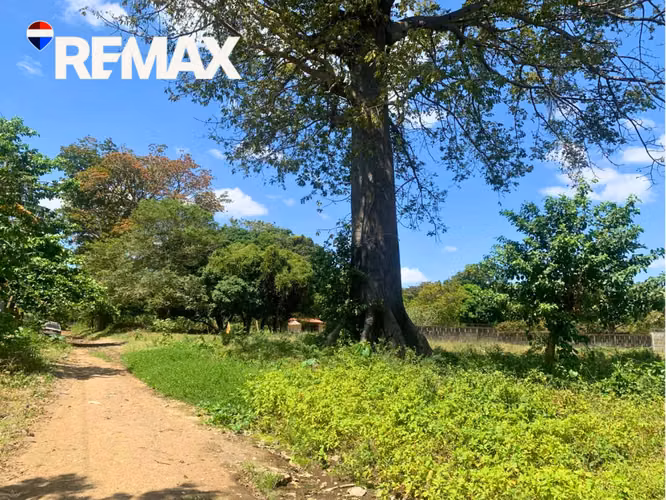 Lote en Las Colinas con Rentabilidad Asegurada