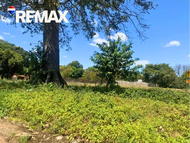 Lote en Las Colinas con Rentabilidad Asegurada