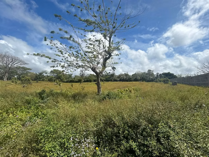 IM-Terreno de 2 manzanas con muro en venta en San Marcos, Carazo