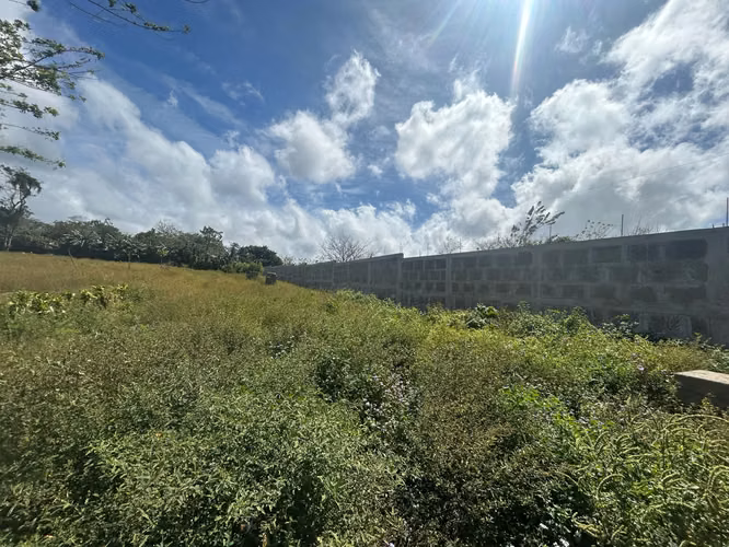IM-Terreno de 2 manzanas con muro en venta en San Marcos, Carazo