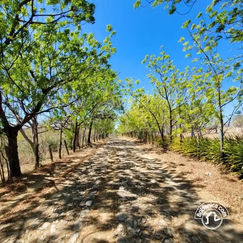 Venta de Terreno en Playa Hermosa en Condo