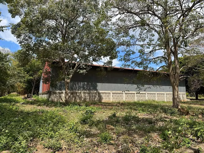 KC- SE RENTA AMPLIA BODEGA CARRETERA MASAYA