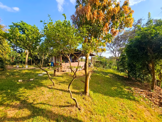 FINCA EN VENTA DE 8.73 MANZANAS ENTRE EL CRUCERO Y SAN MARCOS - Imagen 2