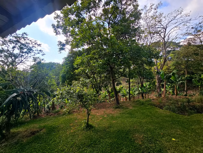 FINCA EN VENTA DE 8.73 MANZANAS ENTRE EL CRUCERO Y SAN MARCOS - Imagen 6