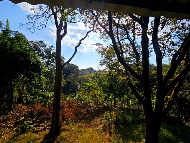 FINCA EN VENTA DE 8.73 MANZANAS ENTRE EL CRUCERO Y SAN MARCOS - Imagen 7