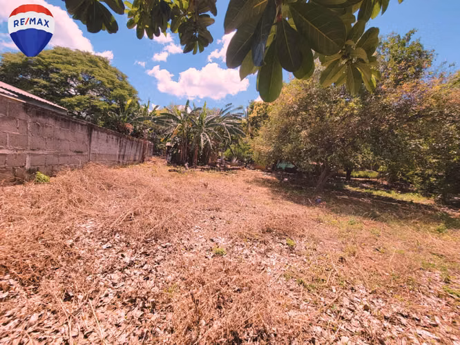 Lotes en Venta en el km 14.4 Carretera a Masaya. - Imagen 4