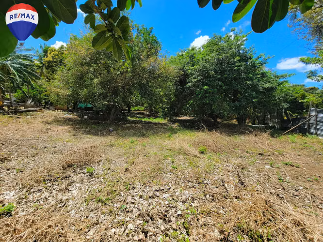 Lotes en Venta en el km 14.4 Carretera a Masaya. - Imagen 3