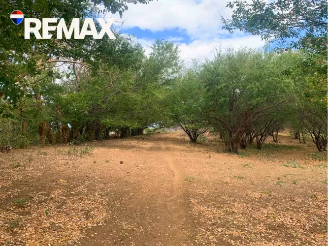 Lote con Potencial de Inversión, Villa Fontana - Imagen 3