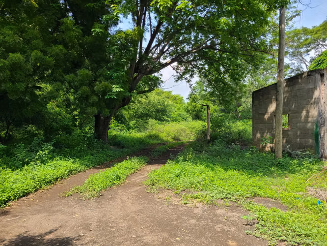COFRADÍA - SE VENDE TERRENO 8 MANZANAS