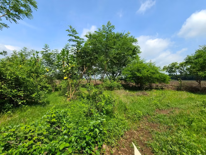 COFRADÍA - SE VENDE TERRENO 8 MANZANAS