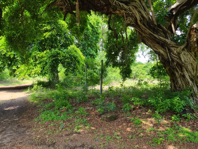 COFRADÍA - SE VENDE TERRENO 8 MANZANAS