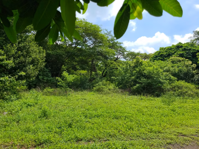 COFRADÍA - SE VENDE TERRENO 8 MANZANAS