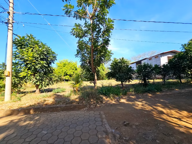 Terreno en venta en carretera vieja a leon