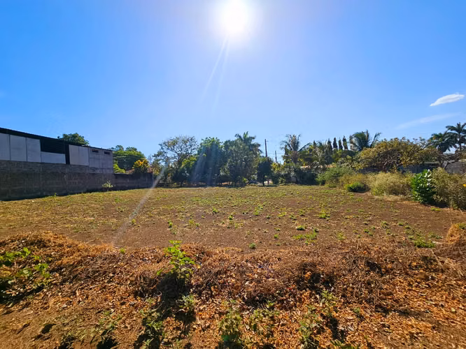 Terreno en venta en carretera vieja a leon