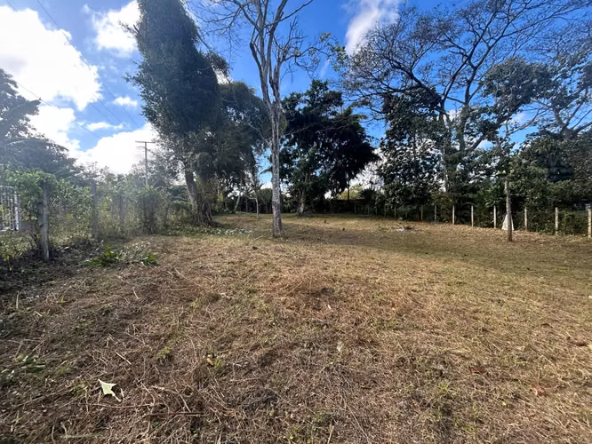 IM-Se vende terreno de 1940 v en Niquinohmo - Imagen 9