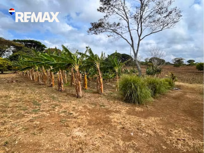 Finca Productiva con Árboles Frutales en Masatepe - Imagen 5