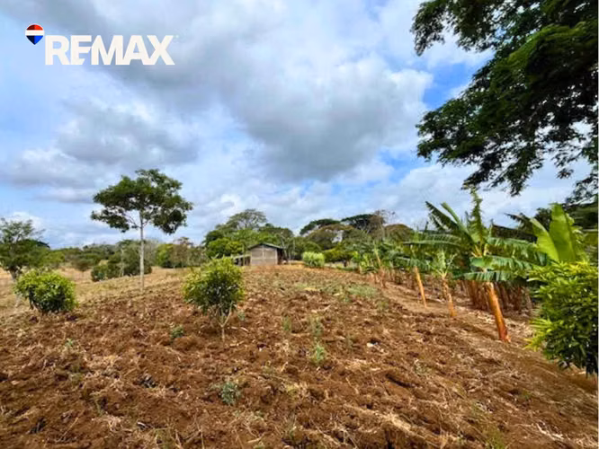 Finca Productiva con Árboles Frutales en Masatepe - Imagen 7