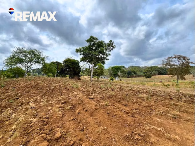 Finca Productiva con Árboles Frutales en Masatepe - Imagen 6