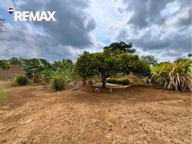 Finca Productiva con Árboles Frutales en Masatepe - Imagen 4