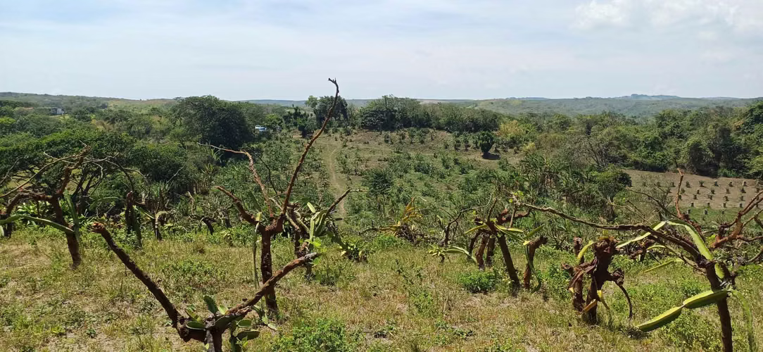 En venta preciosa finca en el Crucero (Nicaragua)