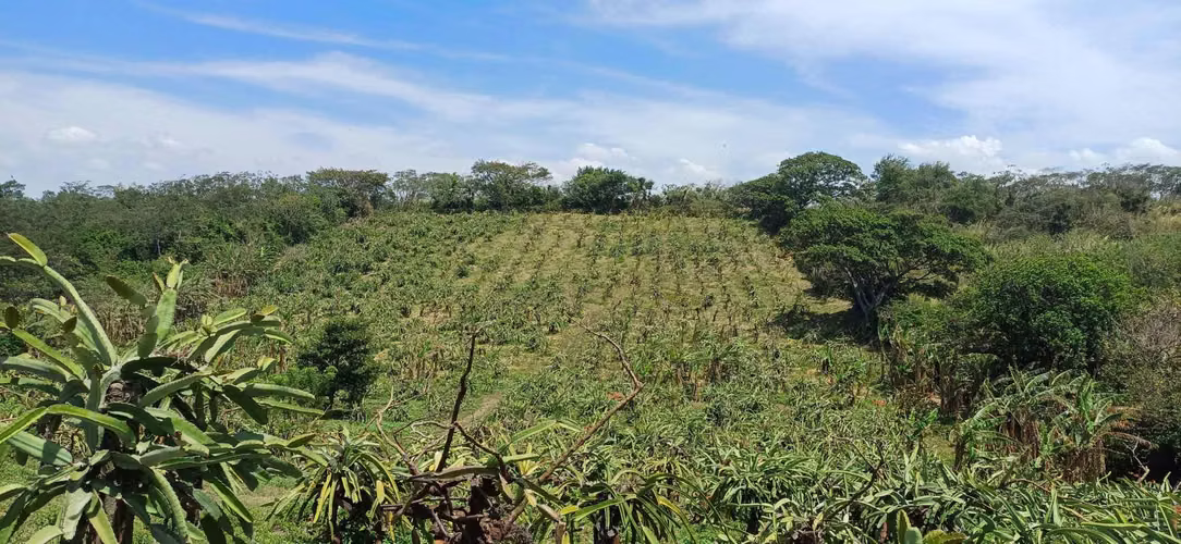 En venta preciosa finca en el Crucero (Nicaragua)
