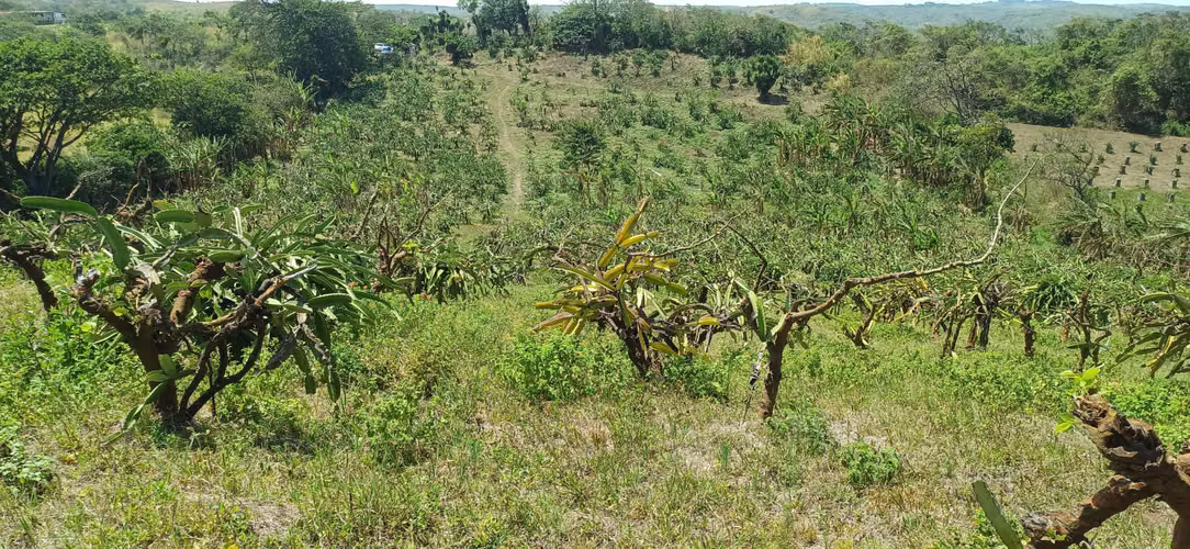 En venta preciosa finca en el Crucero (Nicaragua)