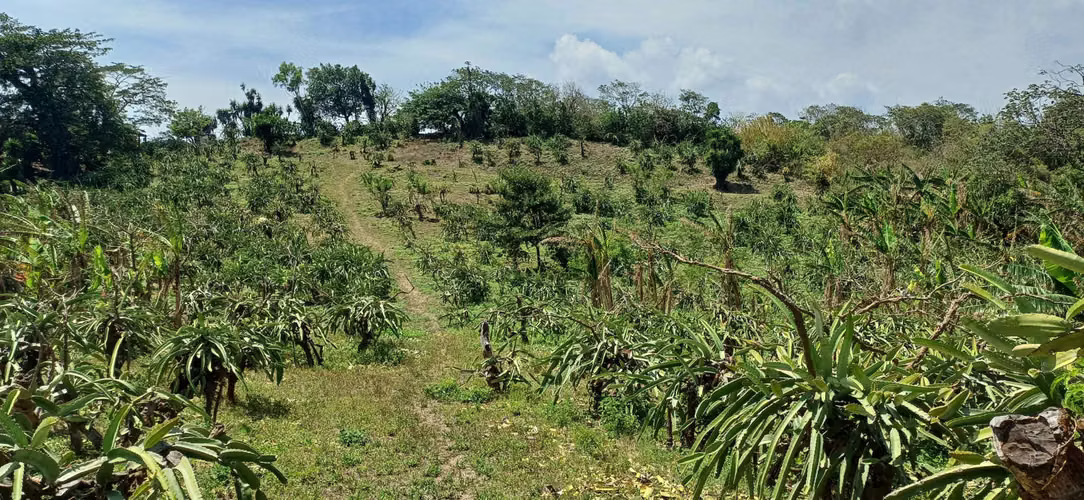 En venta preciosa finca en el Crucero (Nicaragua)