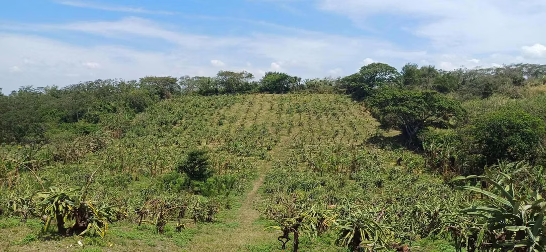 En venta preciosa finca en el Crucero (Nicaragua)