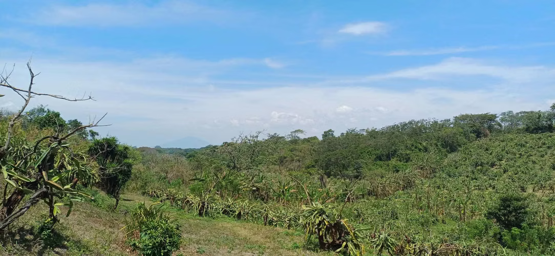 En venta preciosa finca en el Crucero (Nicaragua)