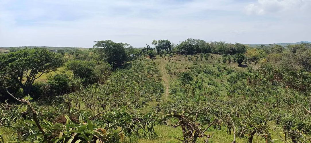 En venta preciosa finca en el Crucero (Nicaragua)