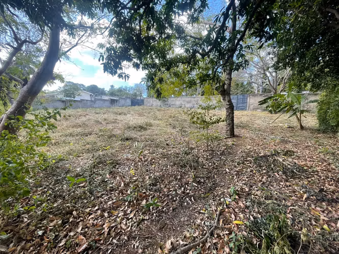 Fh-Terreno con Muro Perimetral en Carretera Sur de 1,866 Vrs2 - Imagen 4