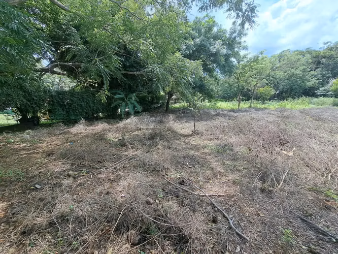 Fh-Terreno con Muro Perimetral en Carretera Sur de 1,866 Vrs2 - Imagen 5