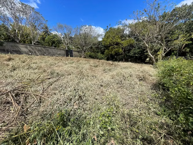 Fh-Terreno con Muro Perimetral en Carretera Sur de 1,866 Vrs2 - Imagen 2