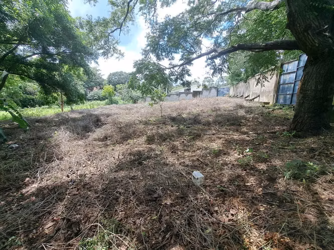Fh-Terreno con Muro Perimetral en Carretera Sur de 1,866 Vrs2 - Imagen 9