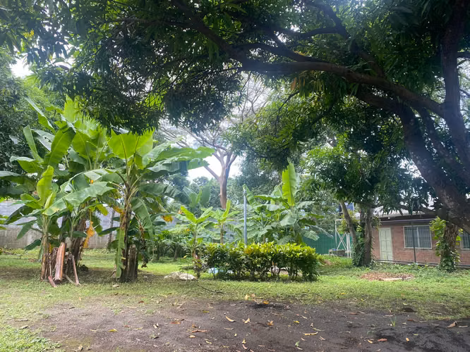 Venta de Terreno en Ticuantepe - NS