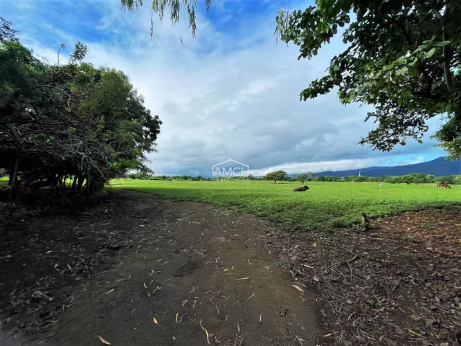 AM - Se Vende Terreno en Carretera Masaya para Desarrollo - Imagen 9
