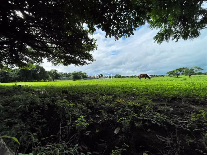 AM - Se Vende Terreno en Carretera Masaya para Desarrollo - Imagen 11
