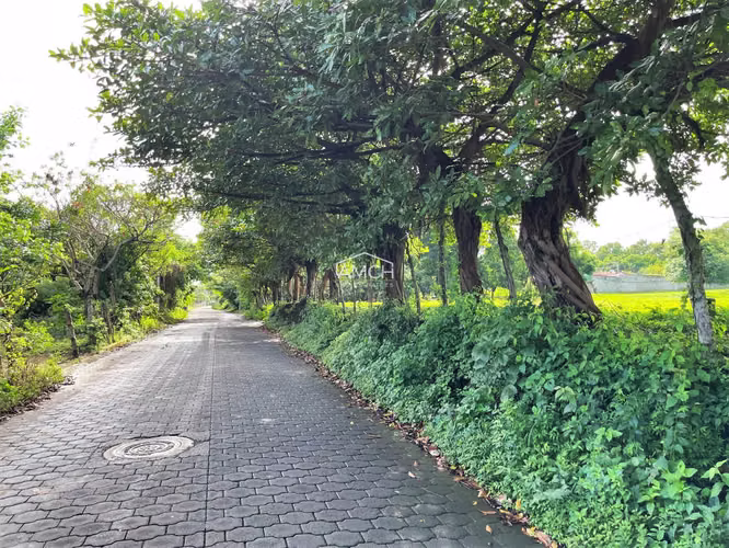 AM - Se Vende Terreno en Carretera Masaya para Desarrollo - Imagen 14